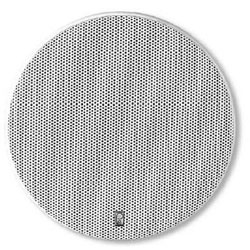 Poly Planar Platinum 2-Way Speakers