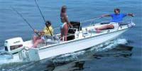 Whaler