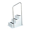 Taylor Made StepSafe Dock Step Railing