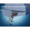 Armstrong Telescoping Slideout Ladder - 3-Step