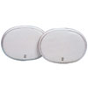 Poly Planar Platinum Waterproof 3-Way Speaker