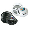 Boss Audio Systems Marine Stereo Speaker