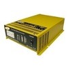 Pure Sine Inverter&nbsp;