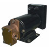 Groco GPB Series Positive Displacement Reversing Gear Pump