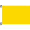 Annin Quarantine Flag