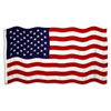 Annin United States Ensign