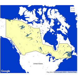 C-MAP WIDE Update ChartRegion: MAXLAKES Canada