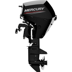 Mercury 20 HP 4-Stroke Outboard Motor (20ELPT EFI)