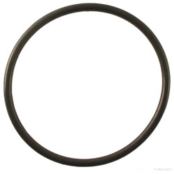 Spectra Desalinator Replacement Charcoal Filter Housing O-Ring