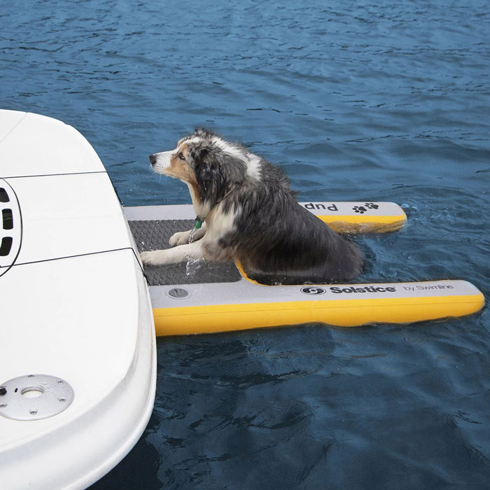 Solstice Inflatable Pup Plank Dog Ramp