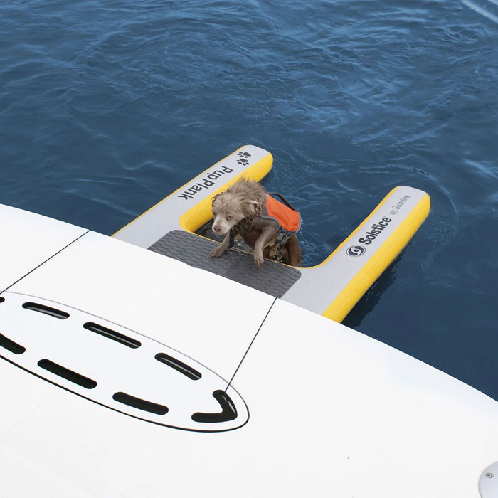 Solstice Inflatable Pup Plank Dog Ramp - Mini / Medium