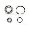 Maxwell Spare Gearbox Bearing Kit