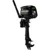 Mercury 5 HP 4-Stroke Propane Outboard Motor (5MXLH Propane)