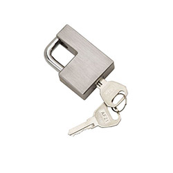 Bulldog Trailer Coupler Lock