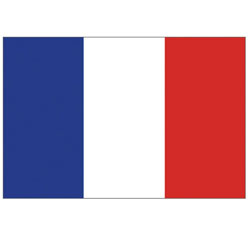 Annin France Courtesy Flag