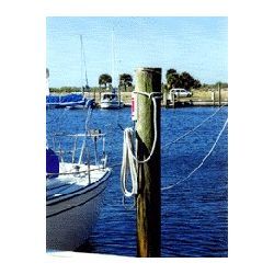 LineCatcher LineCatcher - Green / Starboard